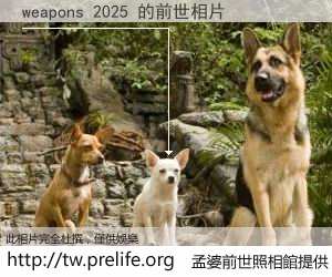 weapons 2025 的前世相片