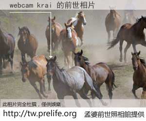 webcam krai 的前世相片