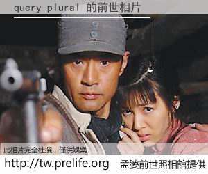 query plural 的前世相片