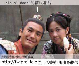 risuai docs 的前世相片