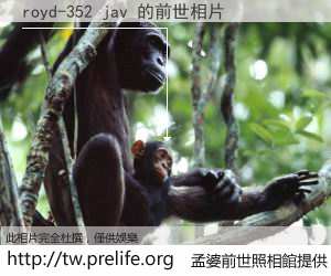 royd-352 jav 的前世相片