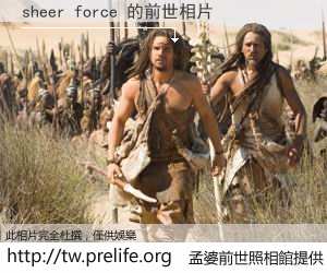 sheer force 的前世相片