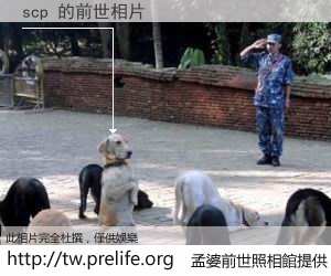 scp 的前世相片