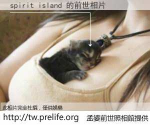 spirit island 的前世相片
