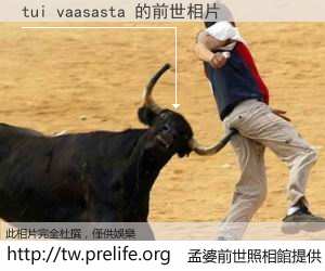 tui vaasasta 的前世相片