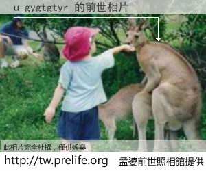 u gygtgtyr 的前世相片