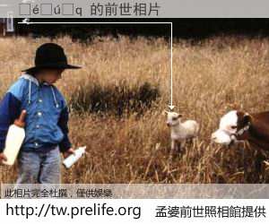 ����q 的前世相片