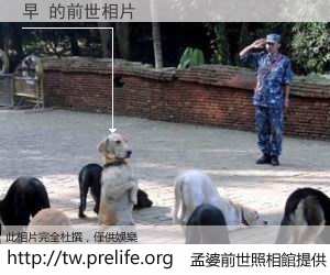 早 的前世相片