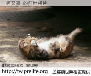柯又嘉 的前世相片