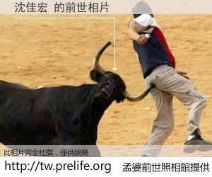 沈佳宏 的前世相片