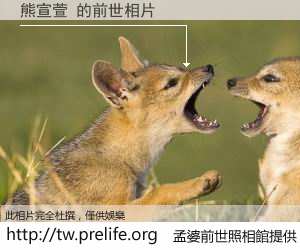 熊宣萱 的前世相片