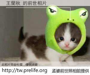 王蘭秋 的前世相片