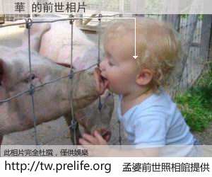 華 的前世相片