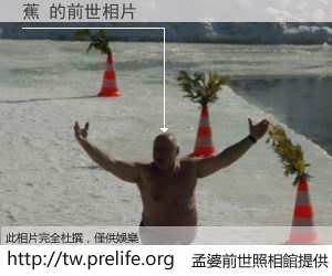 蕉 的前世相片
