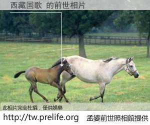 西藏国歌 的前世相片