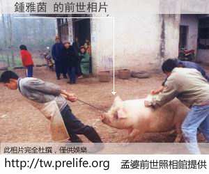 鍾雅茵 的前世相片