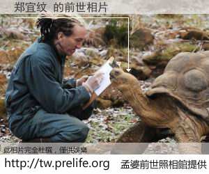 郑宜纹 的前世相片