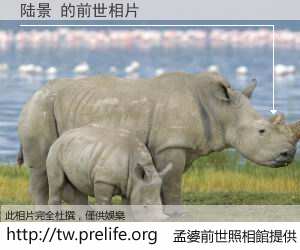 陆景 的前世相片
