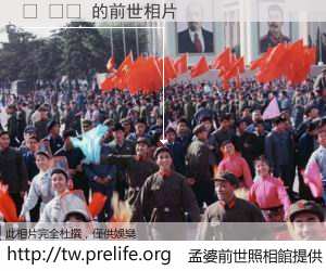 신 버니 的前世相片