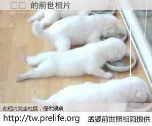 율희 的前世相片