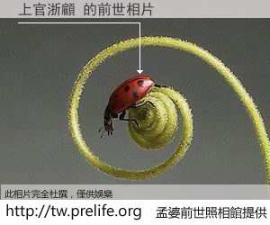 上官浙顧 的前世相片