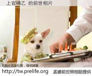 上官咈乙 的前世相片