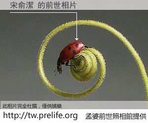 宋俞潔 的前世相片