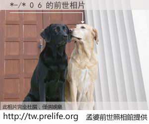 *-/* 0 6 的前世相片