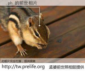 .ph 的前世相片