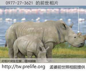 0977-27-3621 的前世相片