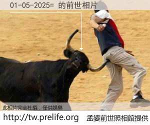 01-05-2025= 的前世相片
