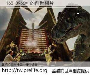 160-0966= 的前世相片