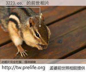 3223.co, 的前世相片