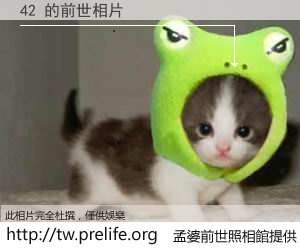 42 的前世相片