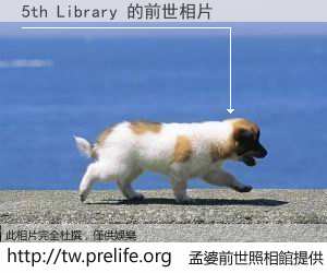 5th Library 的前世相片