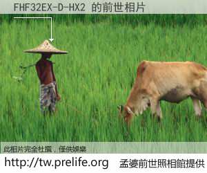 FHF32EX-D-HX2 的前世相片