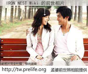 IRON NEST Wiki 的前世相片