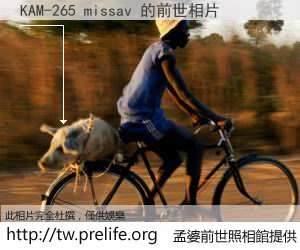 KAM-265 missav 的前世相片