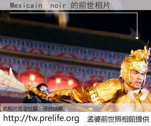 Mexicain  noir 的前世相片