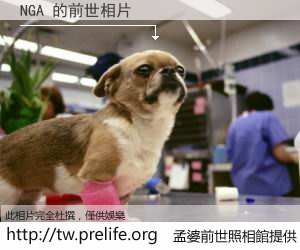 NGA 的前世相片