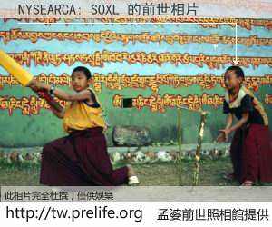 NYSEARCA: SOXL 的前世相片