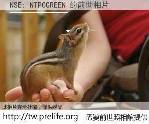 NSE: NTPCGREEN 的前世相片