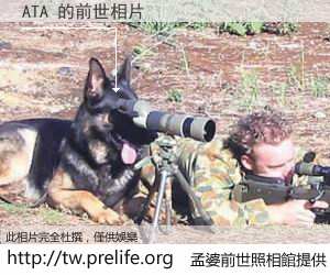 ATA 的前世相片