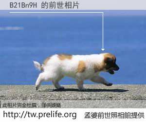 B21Bn9H 的前世相片