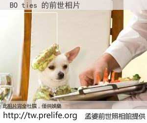 BO ties 的前世相片