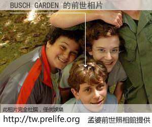 BUSCH GARDEN 的前世相片