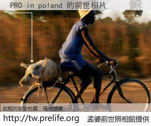 PRO in poland 的前世相片
