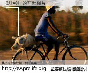QA1AQ1 的前世相片