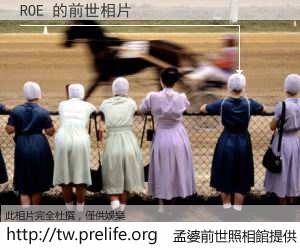 ROE 的前世相片