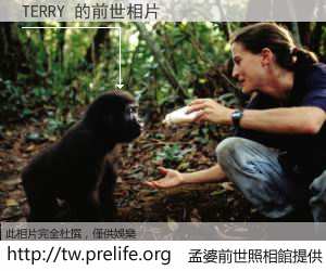 TERRY 的前世相片